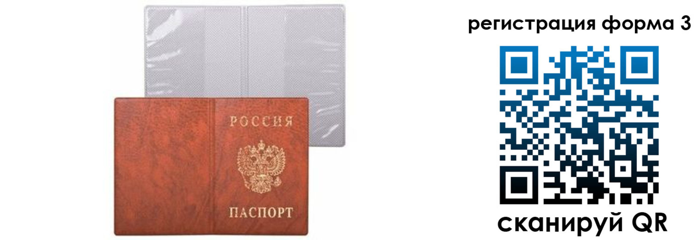 прописка 2025 в Лосино-Петровском